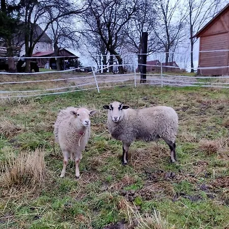 100 Letni Domek - W Polu Dobrej Energii *