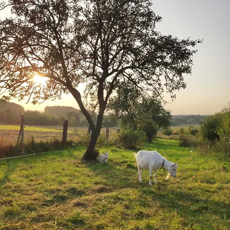 100 Letni Domek - W Polu Dobrej Energii Kalinowice Gorne